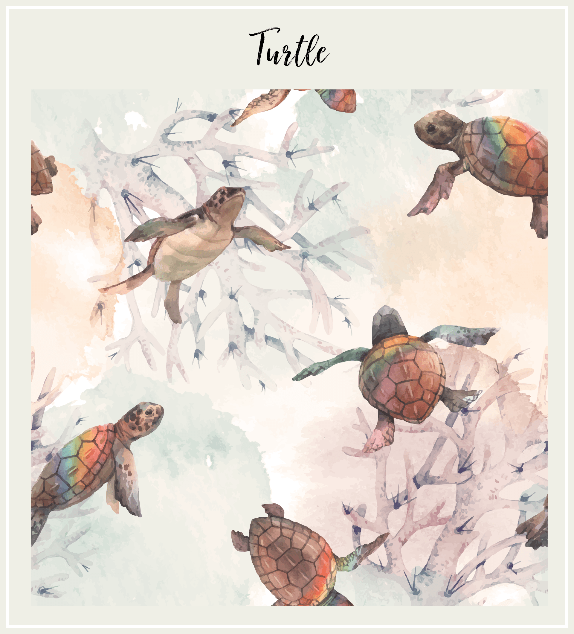M3 & Minihip | Sous-vêtement (3T) | Turtle