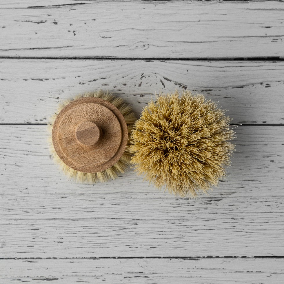 Éco Trucs | Tête de remplacement pour brosse à vaisselle compostable