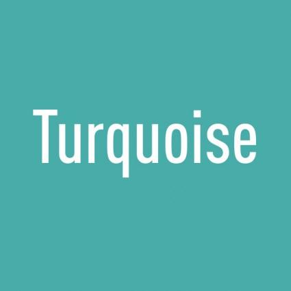 Bibs Original | Suces en caoutchouc naturel | Duo Turquoise