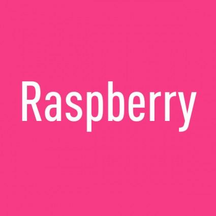 Bibs Original | Suces en caoutchouc naturel | Duo Raspberry - Bibs