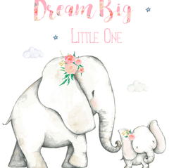 LYA | Couche lavable à poche | taille unique | Dream Big (2.0)
