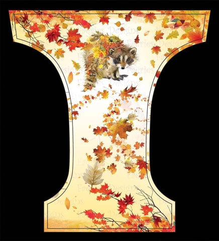 Confection Lolyma | Couche lavable à poche | taille nouveau-né | Raton d'automne