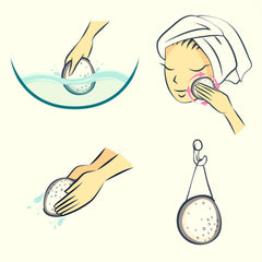 Culture Sauvage | Éponges naturelles Konjac
